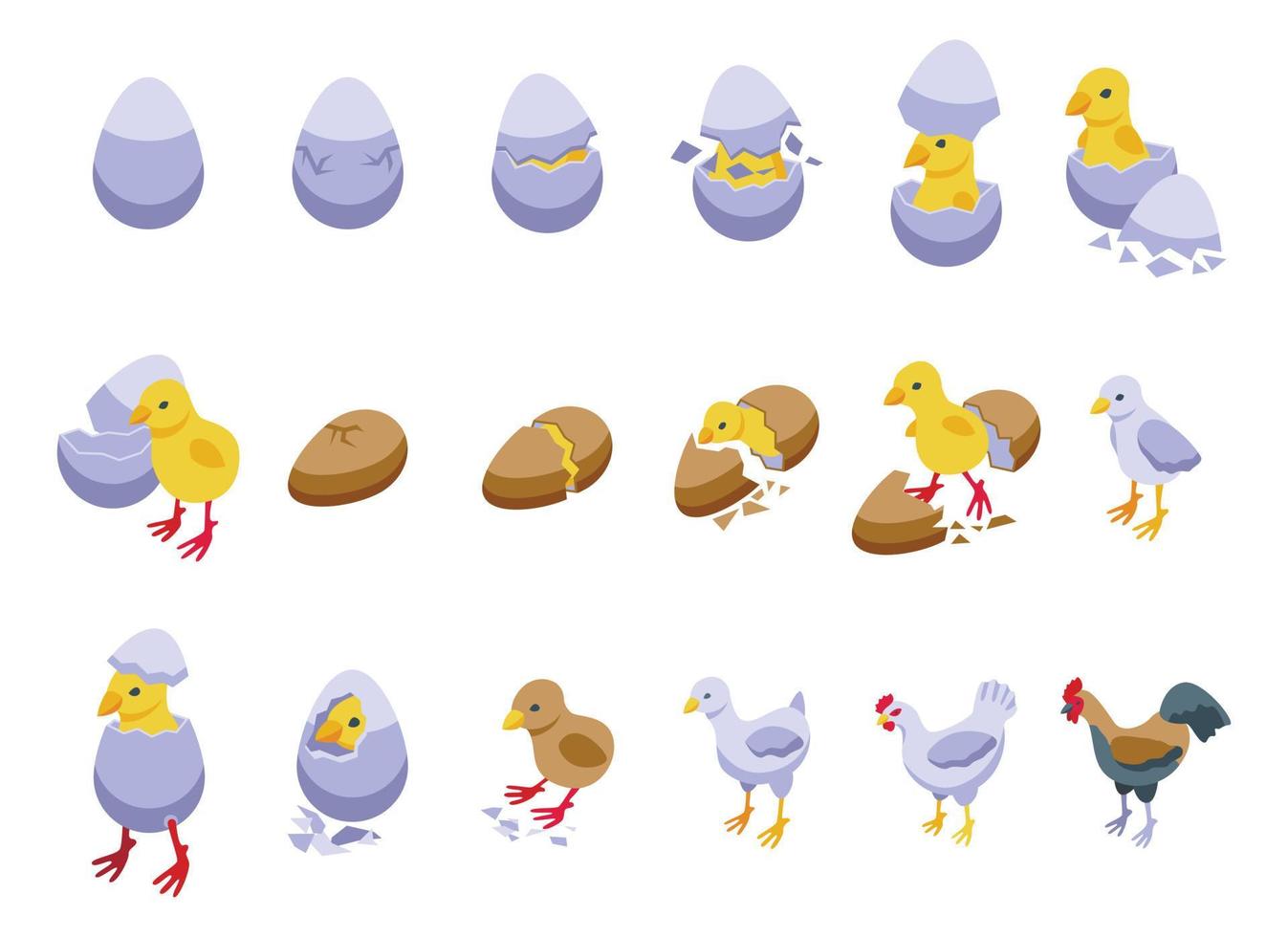 Chicken hatching icons set isometric vector. Chicken egg vector