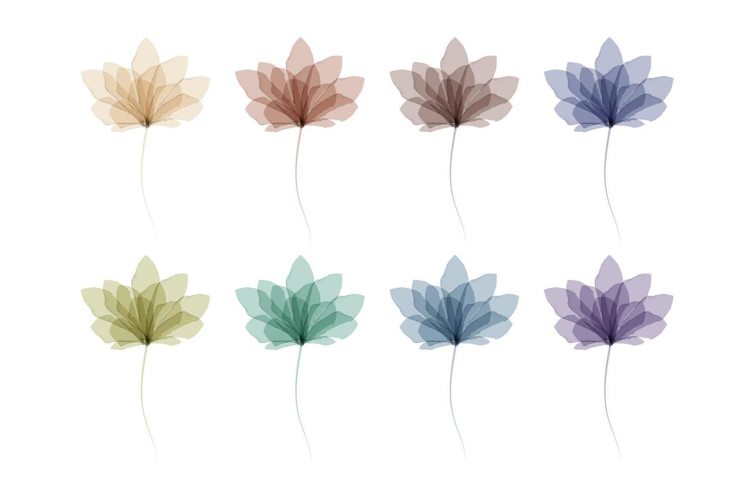 watercolor flowers set vector
