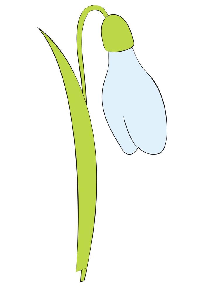 flor de campanilla de invierno o galanthus nivalis. ilustración vectorial de primavera. vector