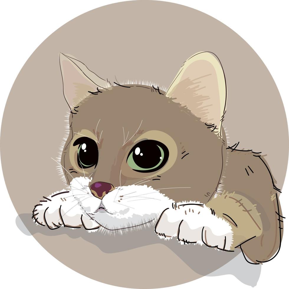 manojo de adorables gatos durmiendo, estirándose. animales de compañía aislados sobre fondo blanco. ilustración vectorial de dibujos animados plana. vector