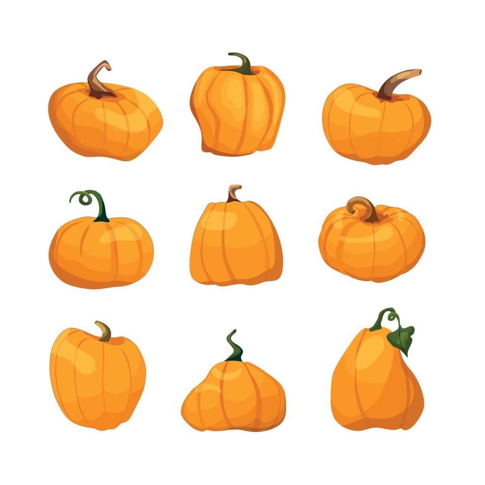 un gran conjunto de calabazas al estilo de las caricaturas. elemento vectorial para halloween, acción de gracias, cosecha. vector