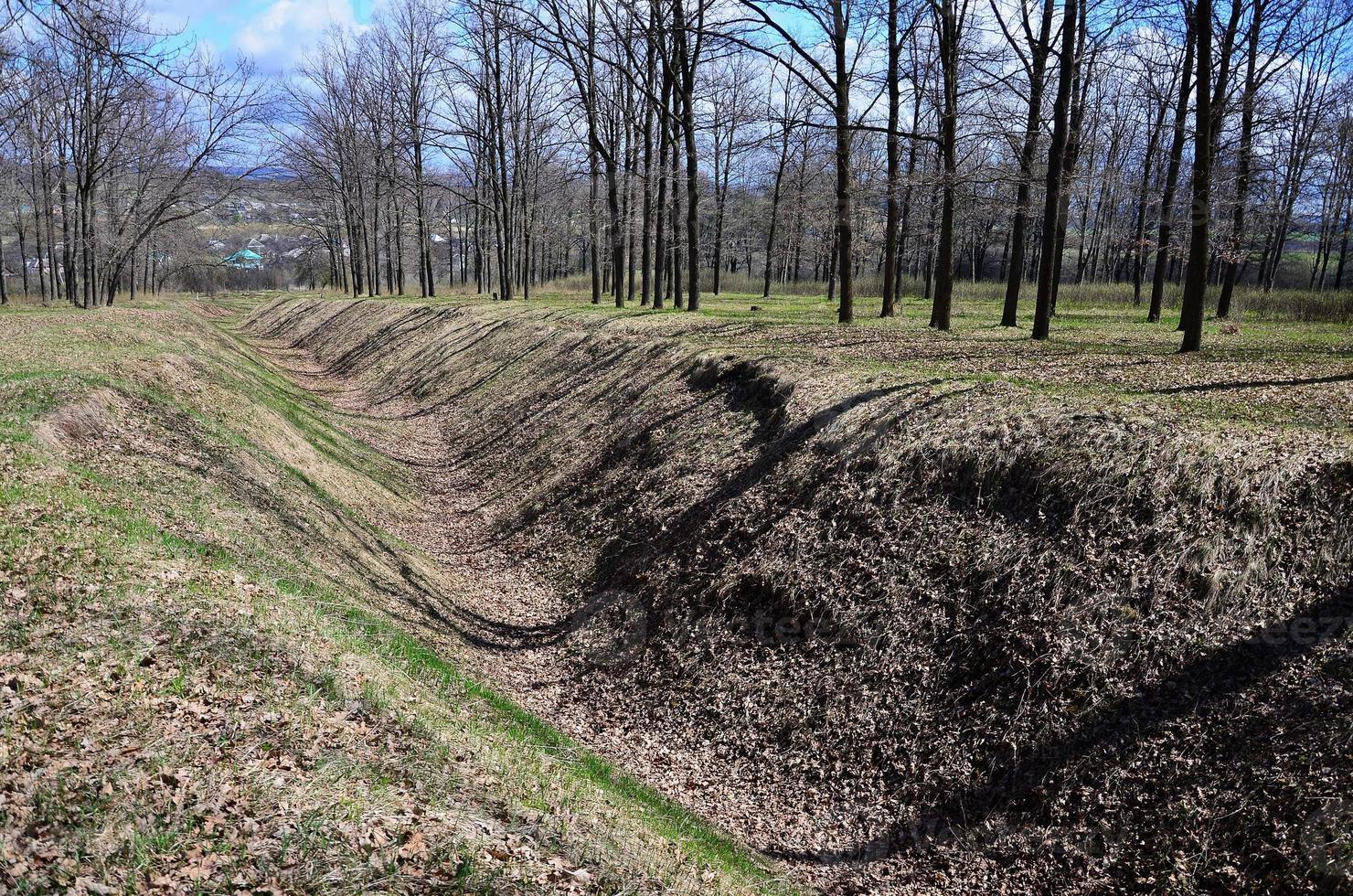 Spring landscape with a deep ravine filled with fallen leaves surrounded by a lot of trees on the edge of the forest next to the village photo