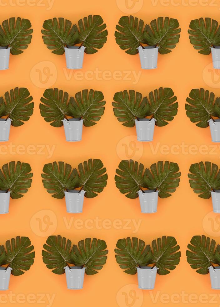 Tropical palm monstera leaves lies in a pastel pails on a colored background. Flat lay trendy minimal pattern. Top view photo