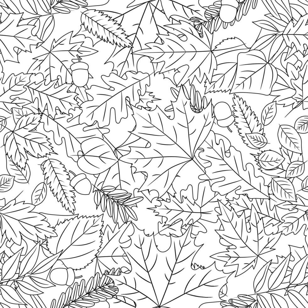 Linear autumn leaves oak, birch, maple. Seamless pattern. Autumnal leaf background outline coloring book, tree foliage contour. Design for web, textile print, repeat wallpaper. Vector illustration.