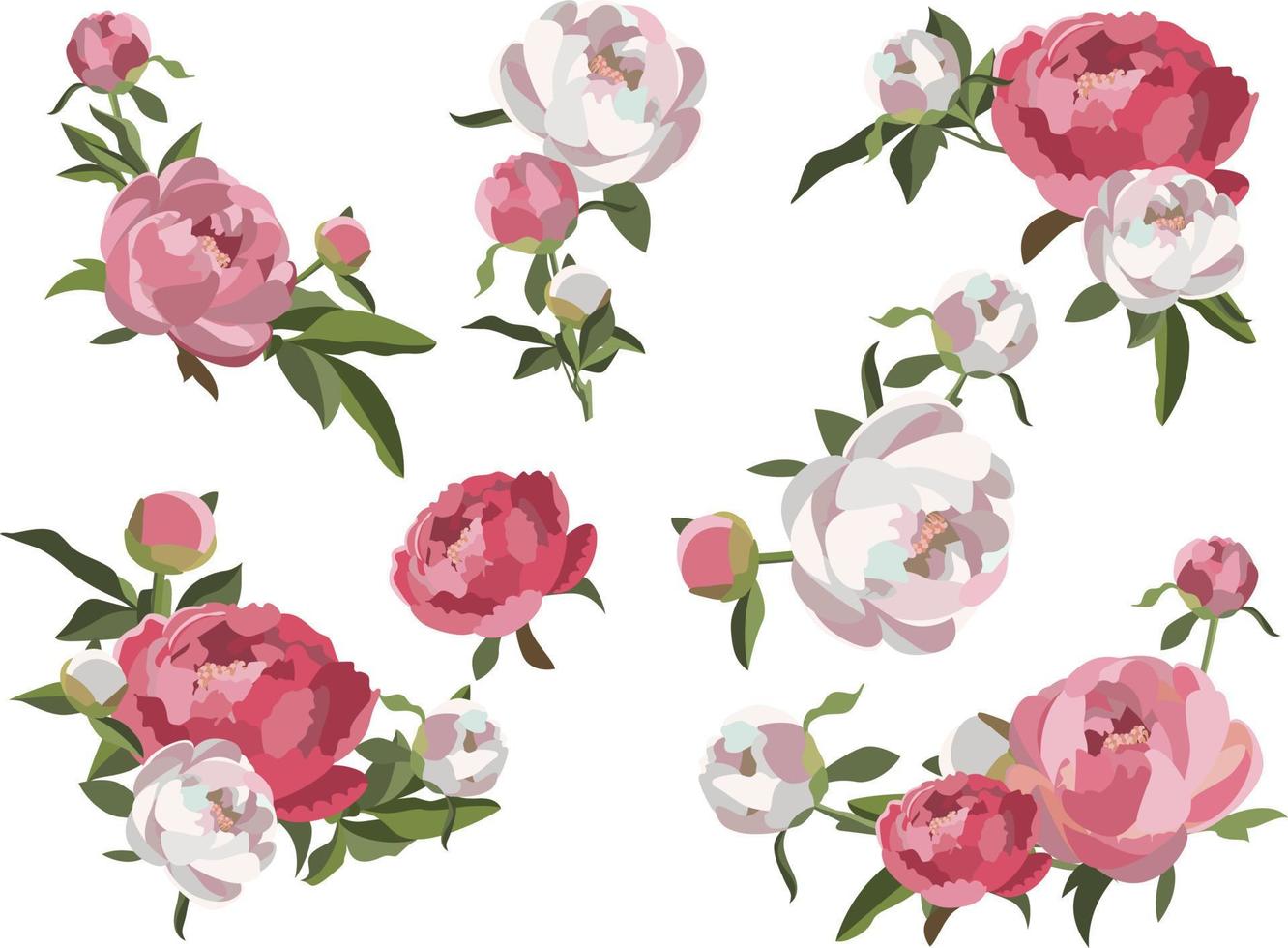 conjunto de composiciones florales de peonía, flores blancas y rosas con vegetación. vector