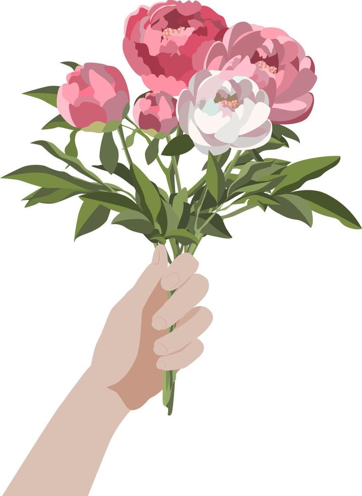Side view hand holding a bunch of peonies, isolated on white background vector