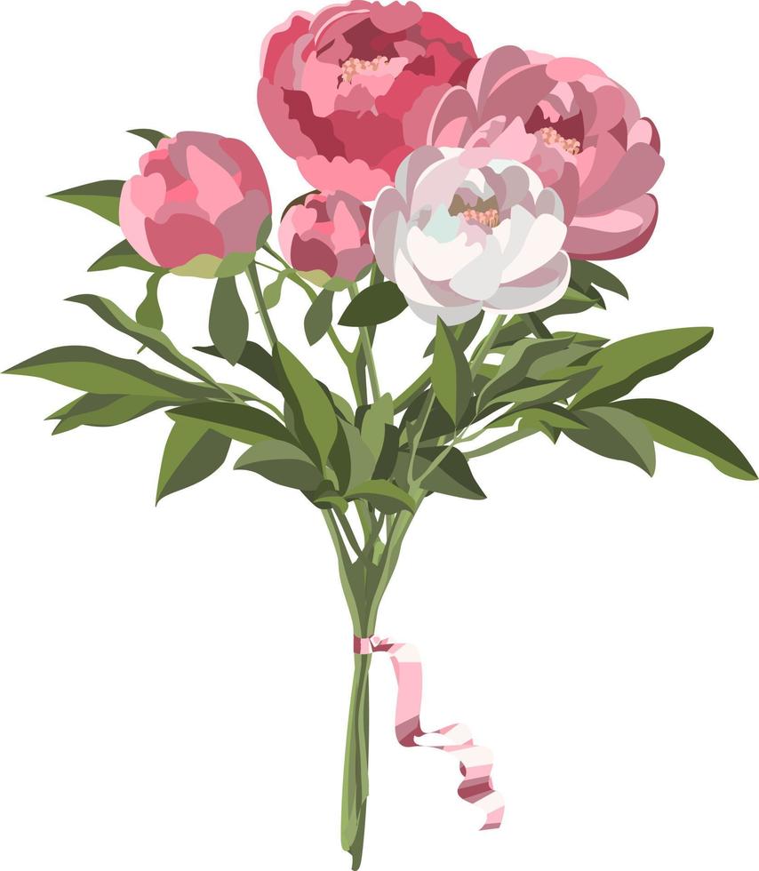 ramo de cinco peonías rosadas y blancas en estilo plano claro aislado en fondo blanco vector