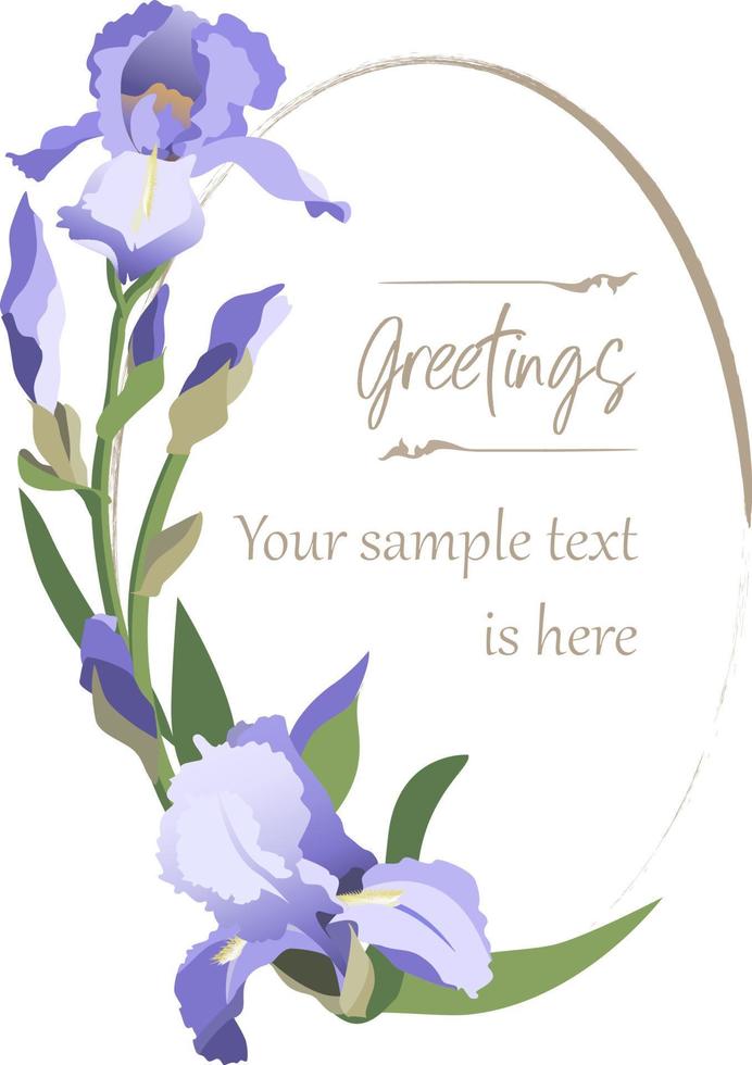 Vintage style blue iris flower oval template with copy space, isolated on white background vector