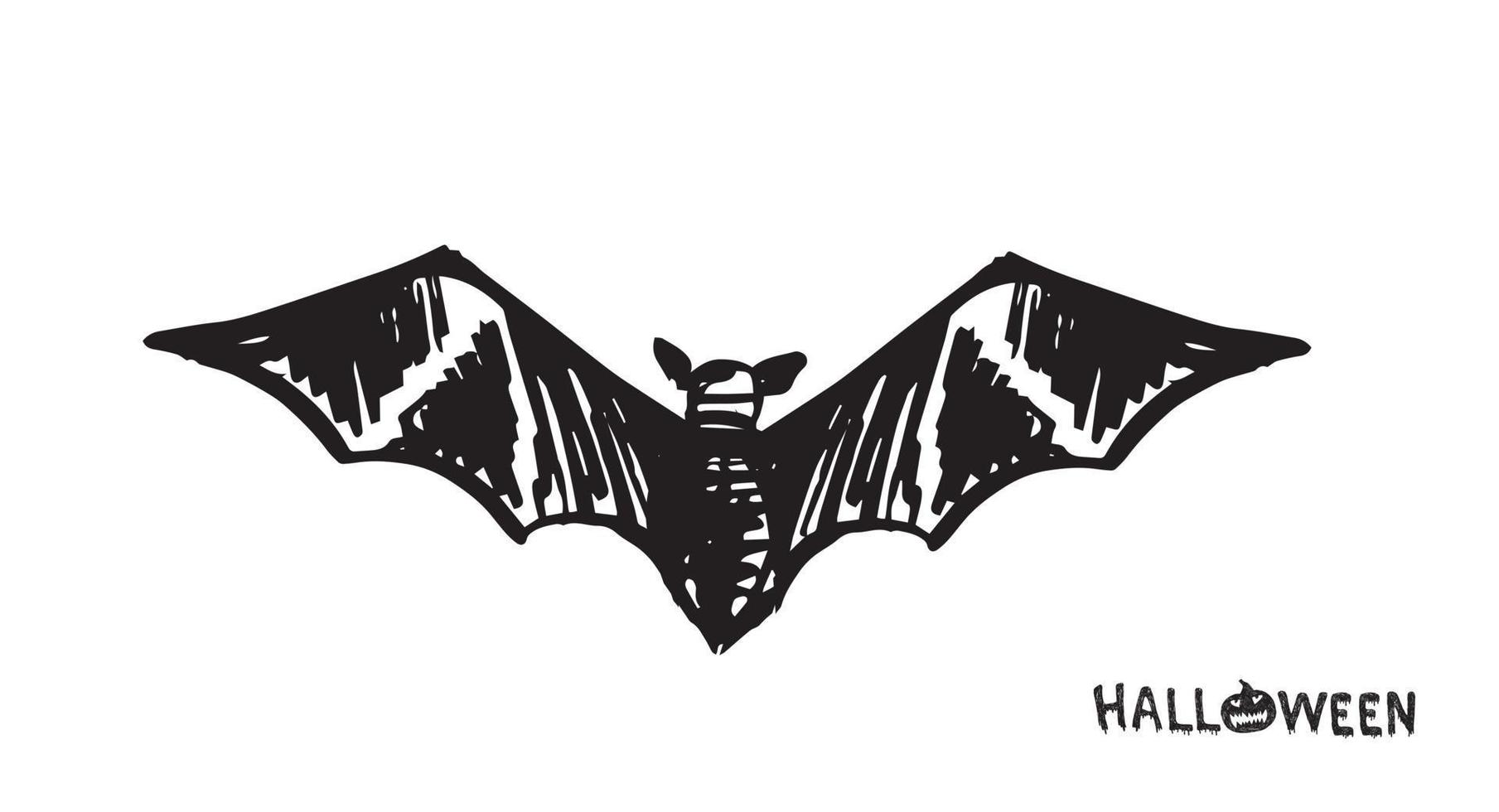 Bat sketch. Hand drawn illustration. vector