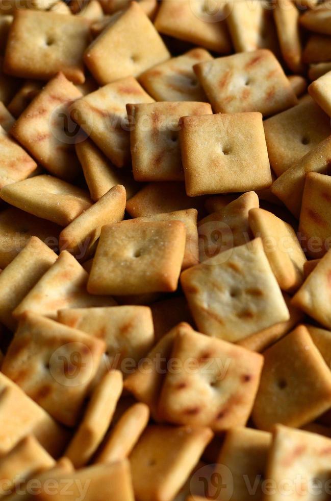 Background texture of small edible squares baked from dough and sprinkled with salt. A lot of salt cracker photo