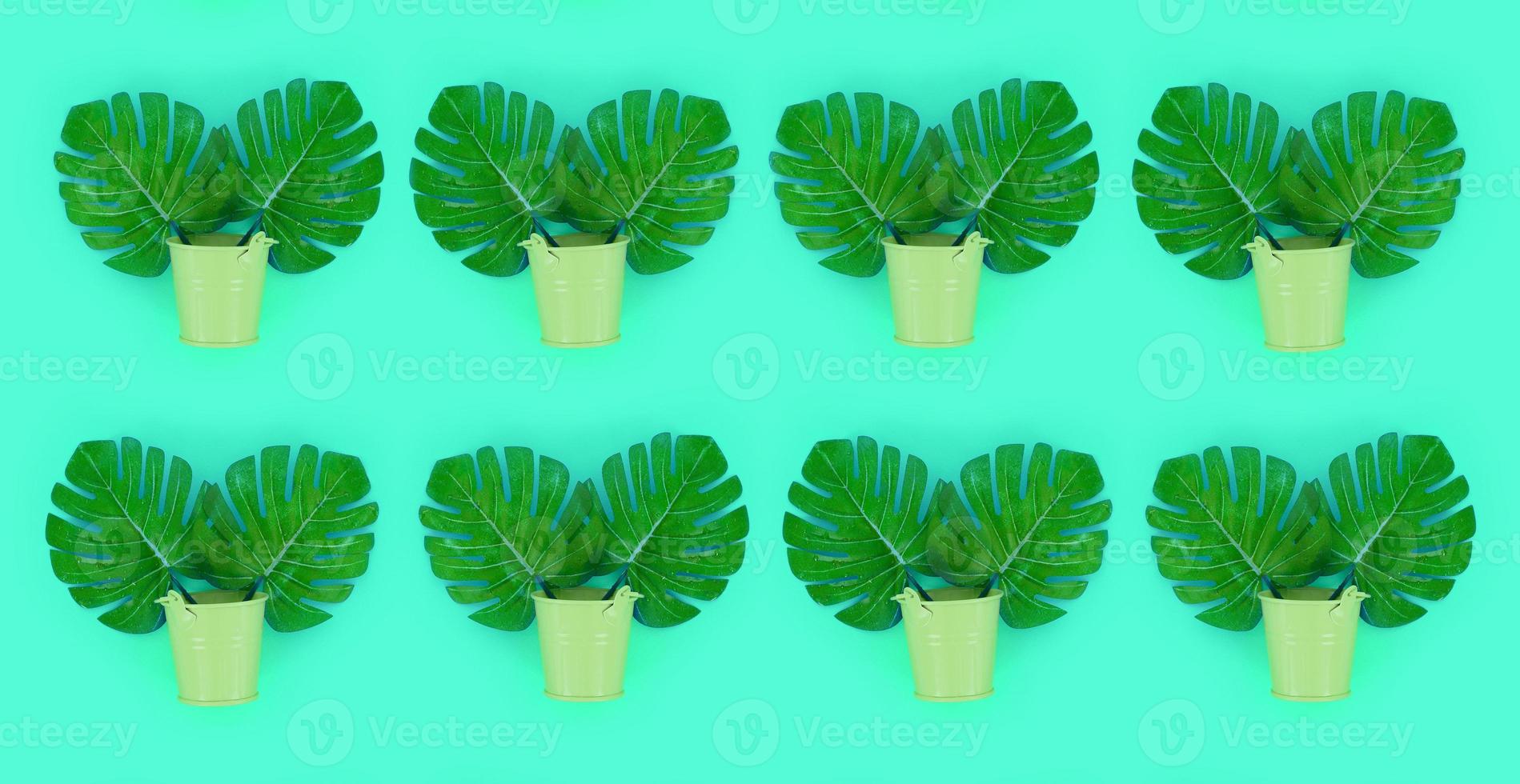 Tropical palm monstera leaves lies in a pastel pails on a colored background. Flat lay trendy minimal pattern. Top view photo