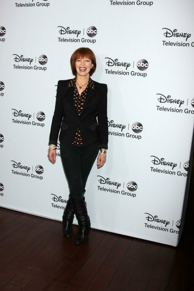 los angeles, 17 de enero - frances fisher en el grupo de televisión disney-abc llegadas de la fiesta de la gira de prensa de invierno de 2014 en el langham huntington el 17 de enero de 2014 en pasadena, ca foto