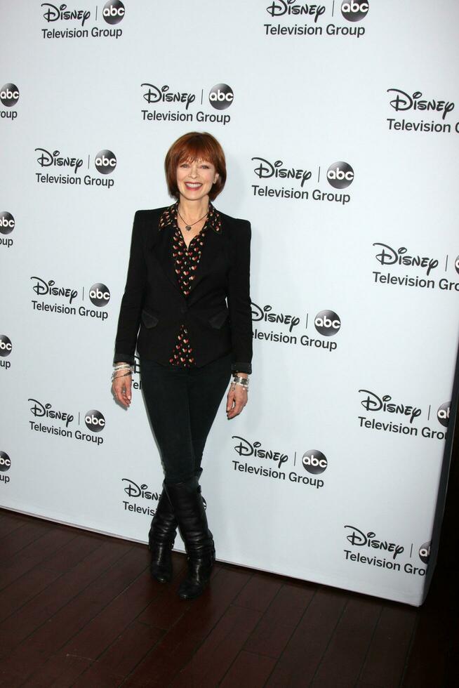 los angeles, 17 de enero - frances fisher en el grupo de televisión disney-abc llegadas de la fiesta de la gira de prensa de invierno de 2014 en el langham huntington el 17 de enero de 2014 en pasadena, ca foto