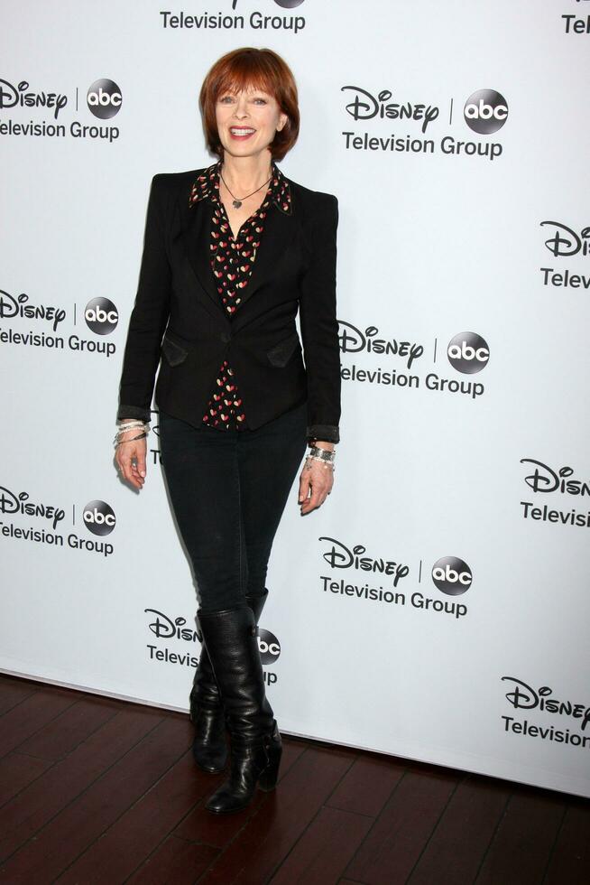 LOS ANGELES, JAN 17 -  Frances Fisher at the Disney-ABC Television Group 2014 Winter Press Tour Party Arrivals at The Langham Huntington on January 17, 2014 in Pasadena, CA photo