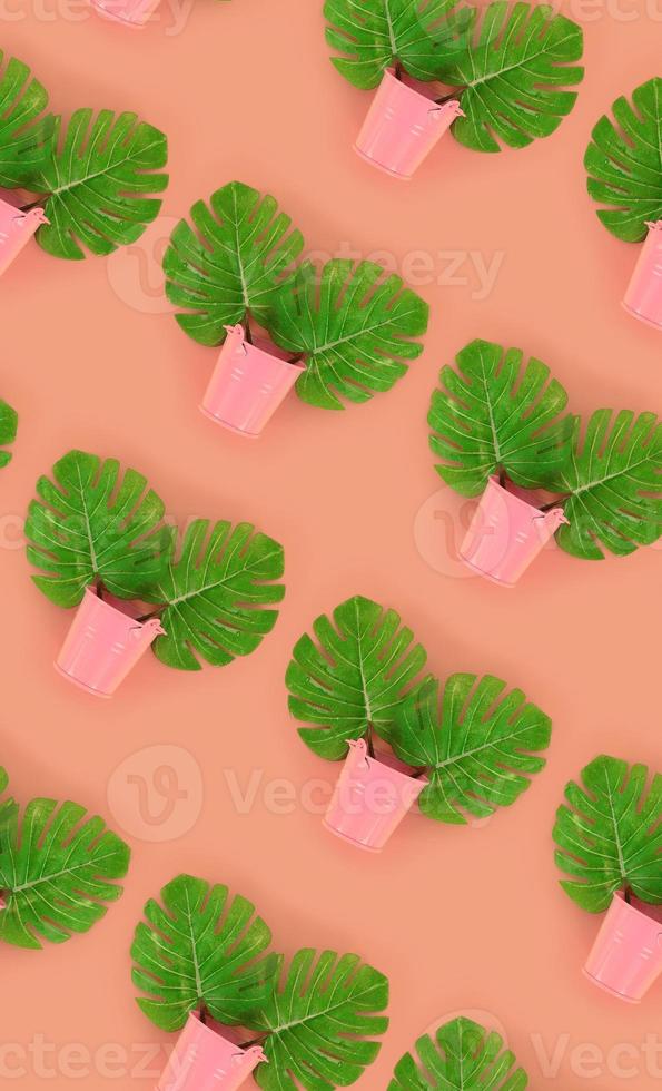 Tropical palm monstera leaves lies in a pastel pails on a colored background. Flat lay trendy minimal pattern. Top view photo