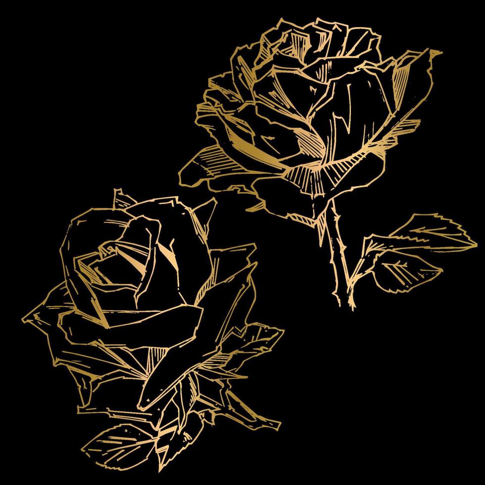 PrintHand drawn rose. Vector illustration. Vintage tattoo style rose. Flower motif sketch for design. Ink illustration isolated.