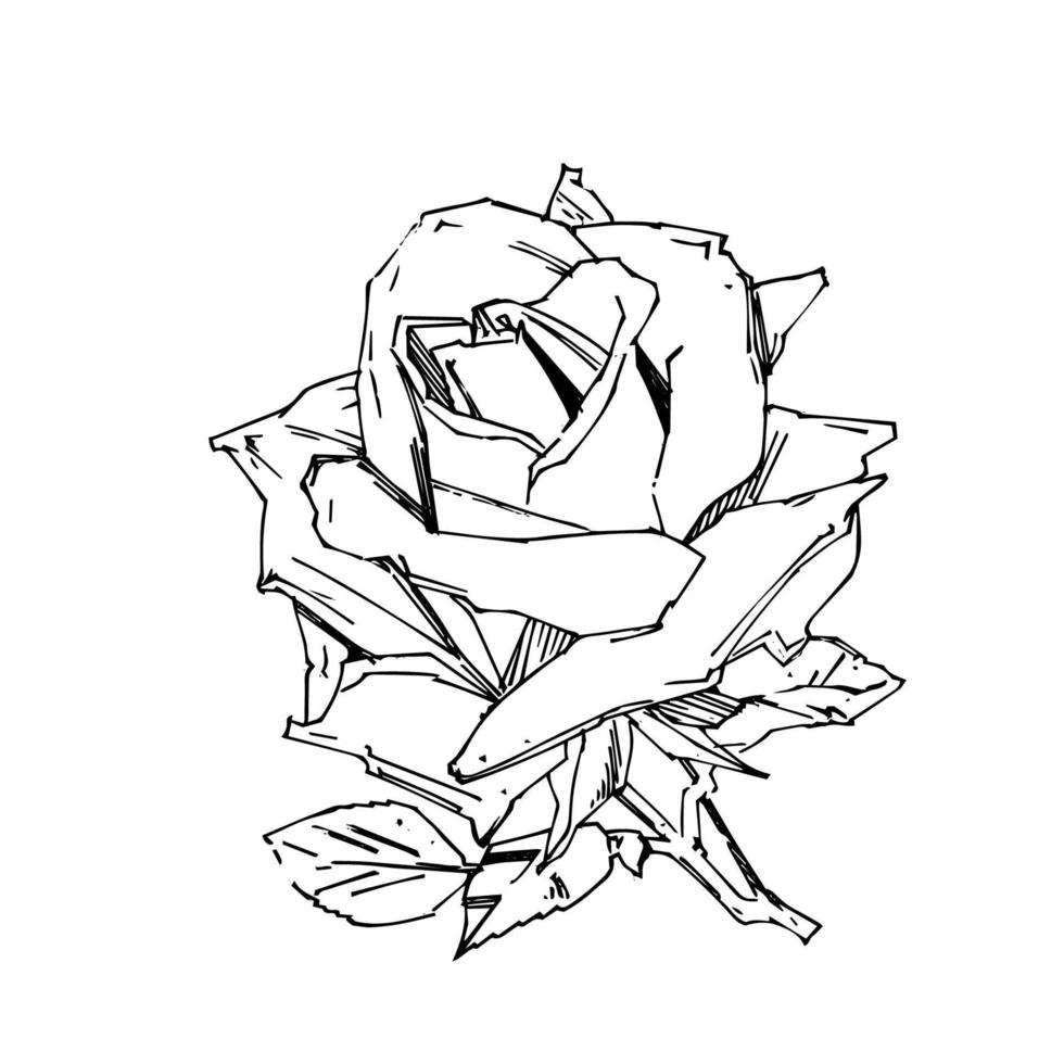 PrintHand drawn rose. Vector illustration. Vintage tattoo style rose. Flower motif sketch for design. Ink illustration isolated.