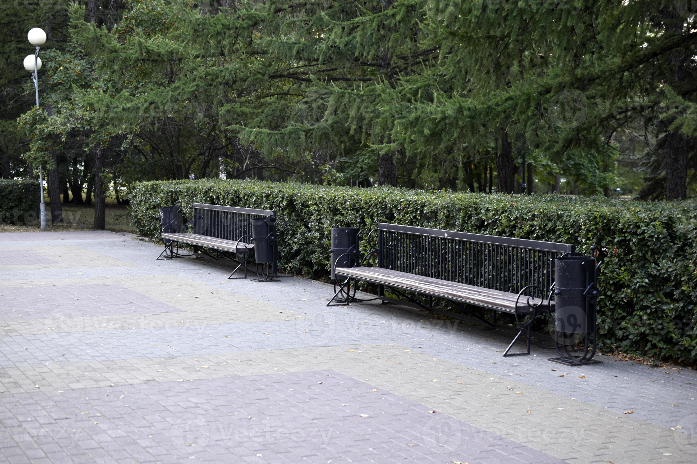 Wooden bench in a summer park in the city. Bench closeup in the