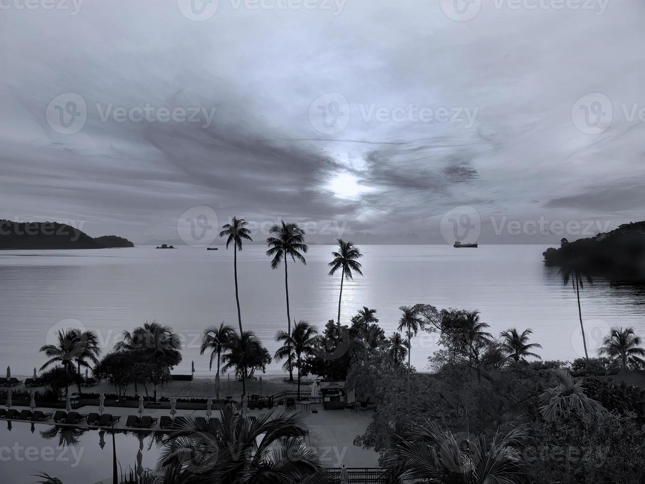 fondo de pantalla en blanco y negro de un pacífico amanecer, puesta de sol,  paisaje marino y cielo oceánico con silueta de coco en primer plano  12332072 Foto de stock en Vecteezy