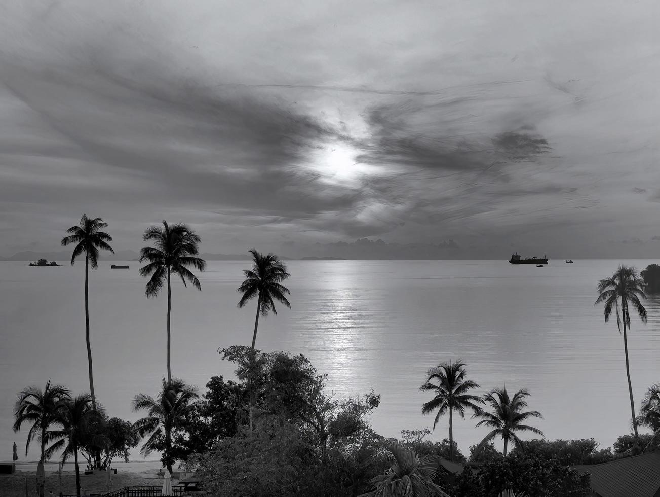 fondo de pantalla en blanco y negro de un pacífico amanecer, puesta de sol,  paisaje marino y cielo oceánico con silueta de coco en primer plano  12332073 Foto de stock en Vecteezy