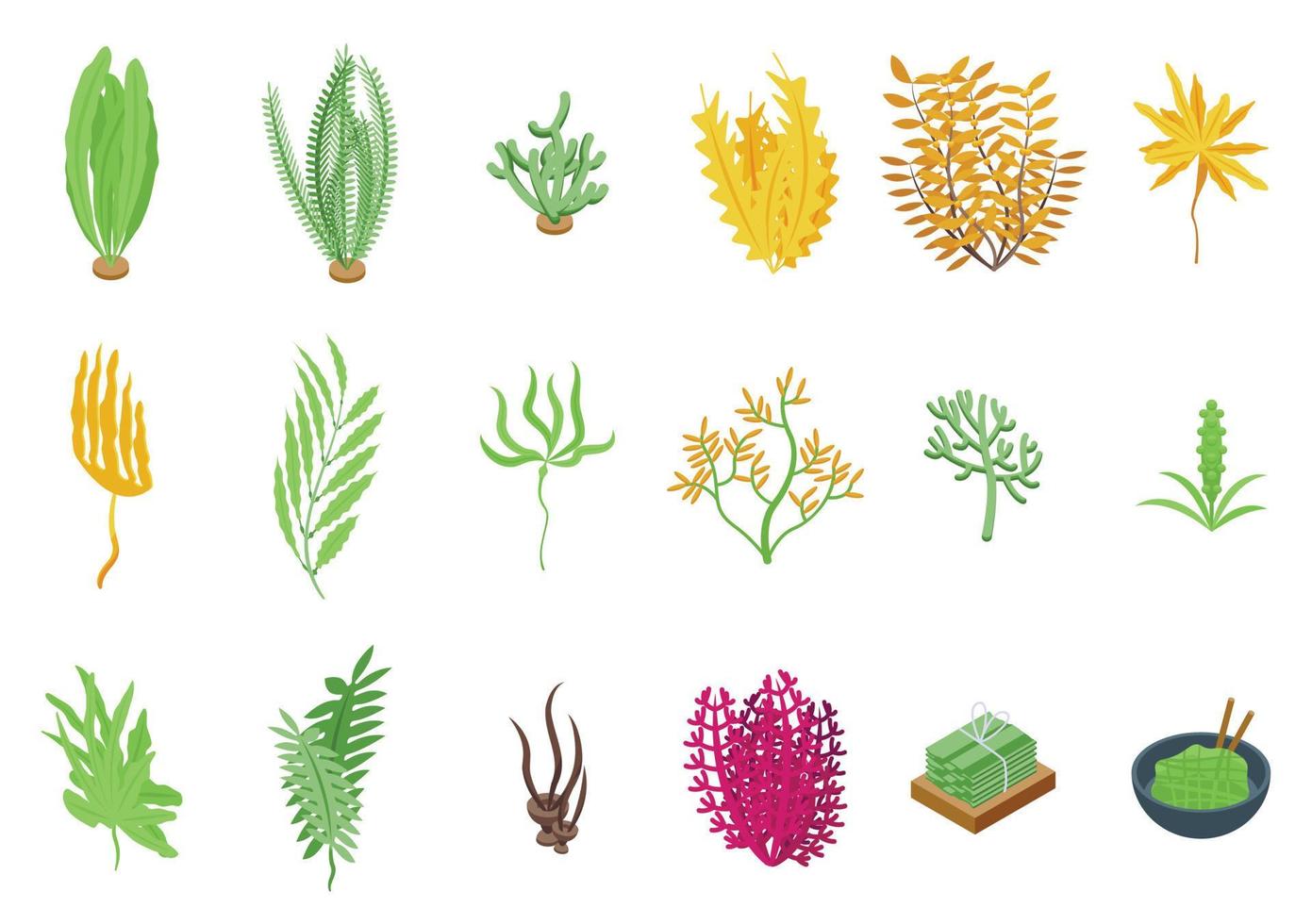 Algae icons set isometric vector. Spirulina plant vector