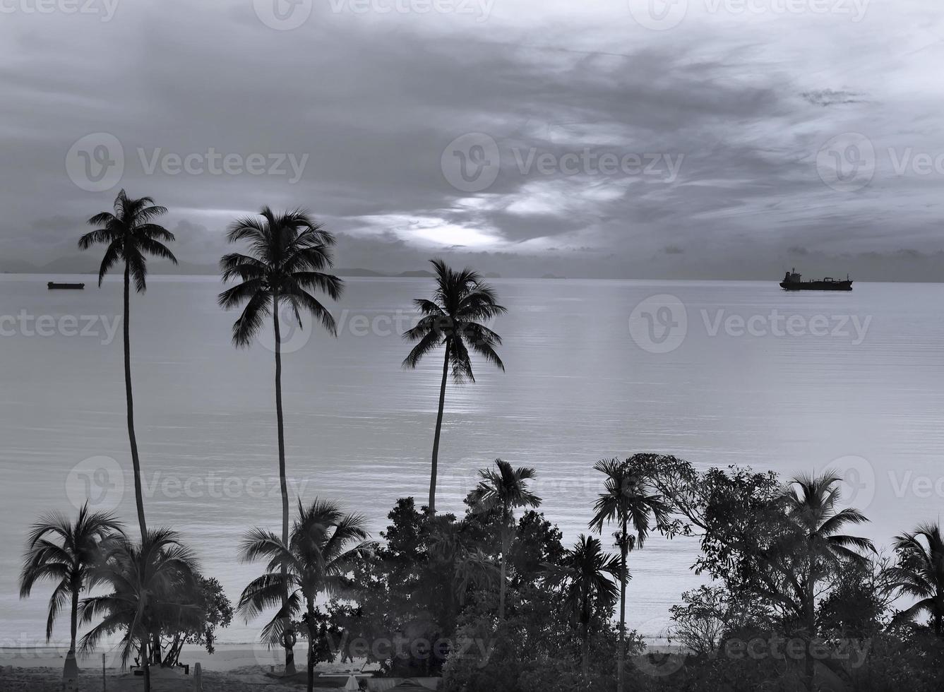 Black and White Wallpaper of peaceful sunrise sunset seascape and ocean sky with coconut silhouette foreground photo