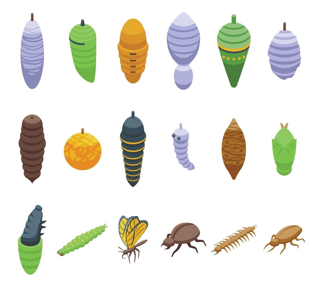 Cocoon icons set isometric vector. Animal pupa vector