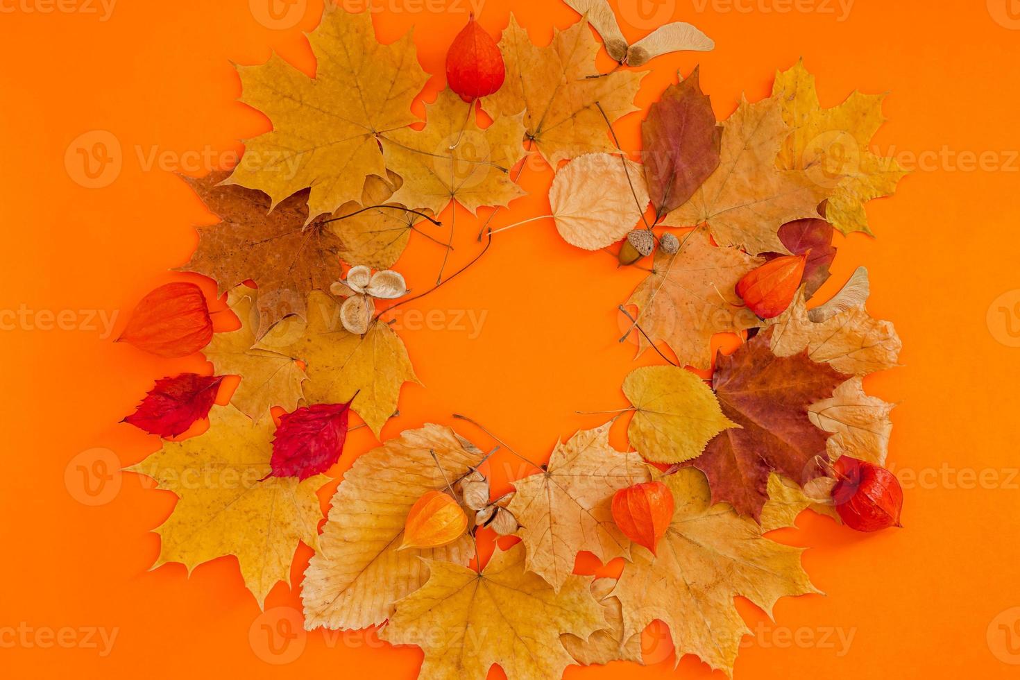 Dry leaves wreath frame on orange color background photo