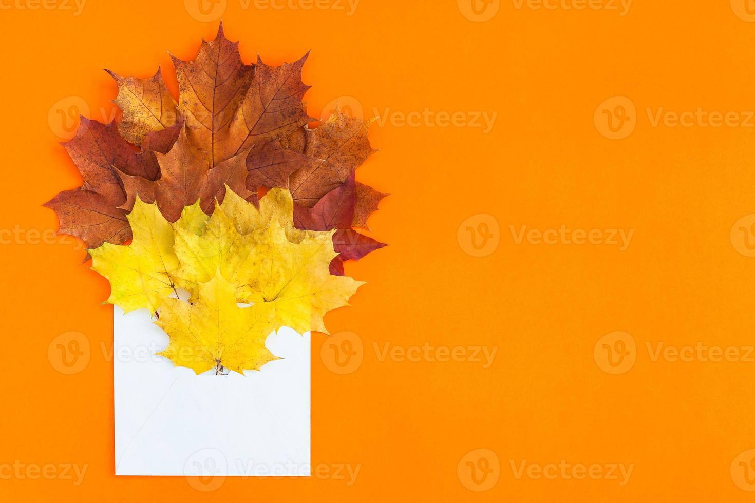 hojas de otoño en maqueta de sobre de papel foto