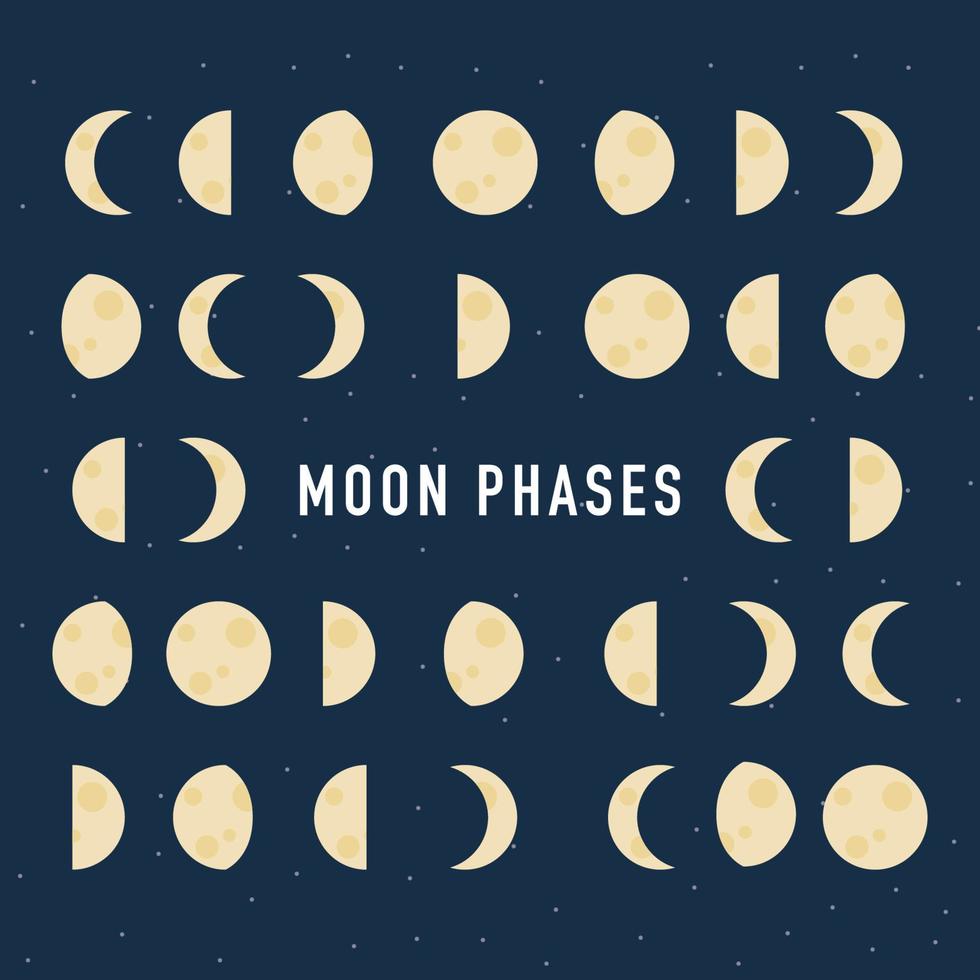 Flat Moon Phases vector