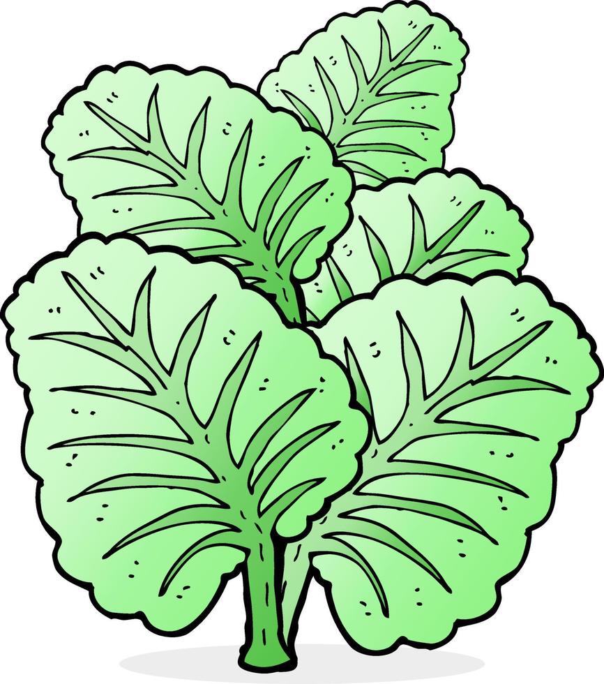 cartoon cabbage leaves vector