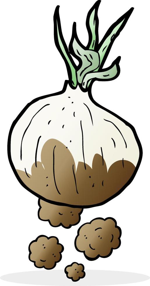 cartoon organic onion vector