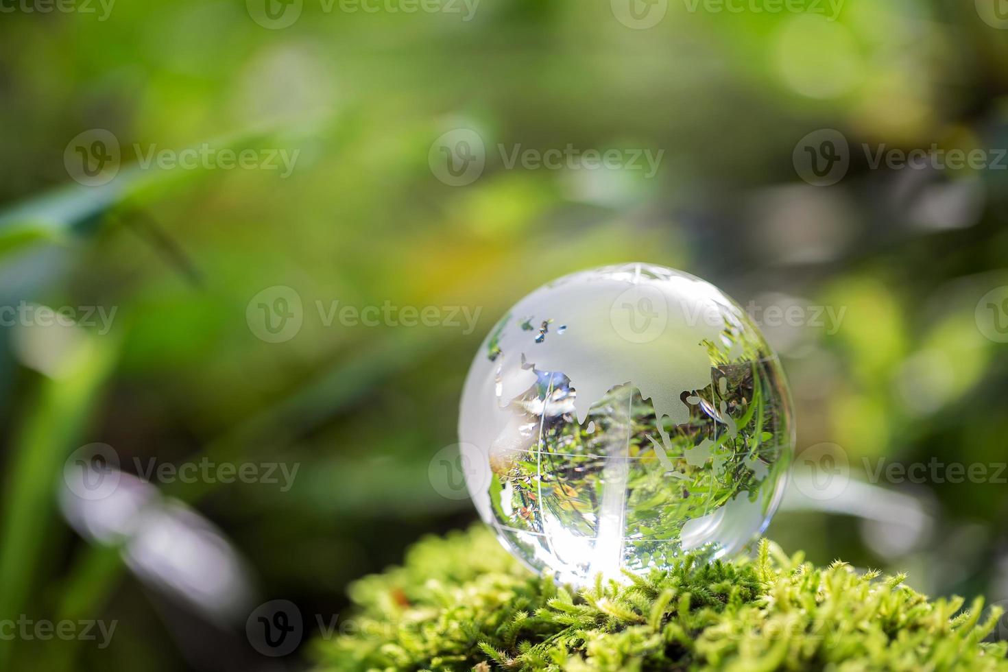 Globe planet glass In green forest with bokeh nature lights. world environment day. concept for environment conservation, protect ecology earth and environmental eco-friendly life with copy space photo