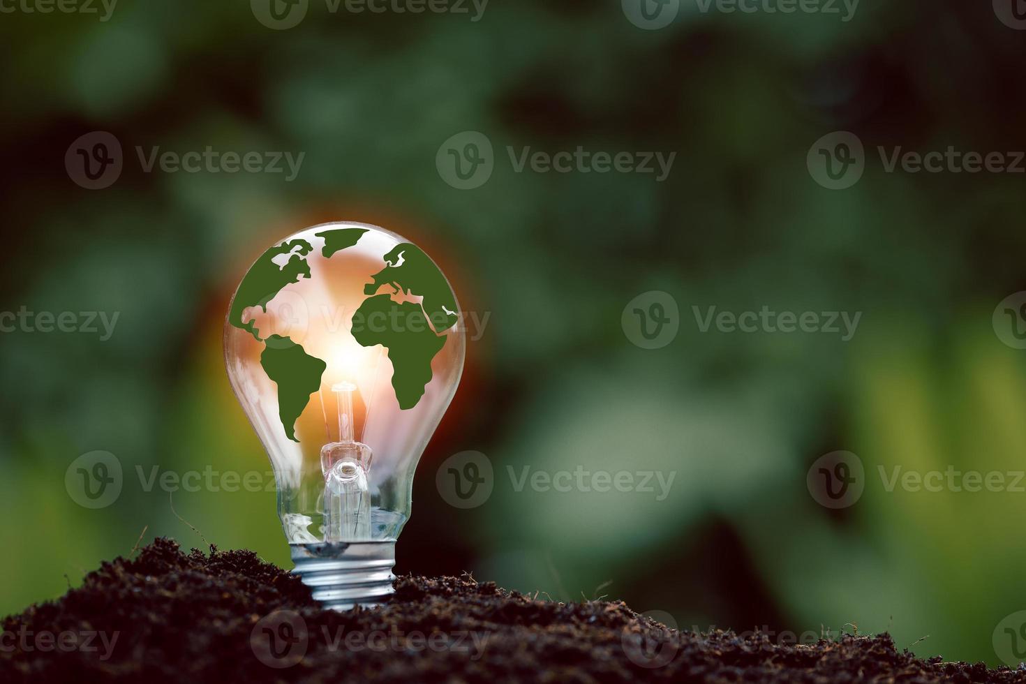 alternative energy, Renewable Energy, saving energy, electricity light lamp from solar and finance, finance banking growth, energy stock investment, tree growing up on coin and lightbulb on soil photo