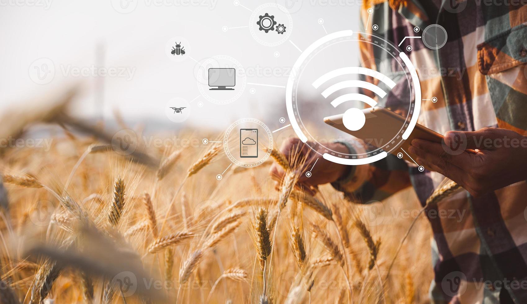 Smart farming concept. Farmer with technology digital tablet on background of wheat field. Professional farmers use internet of things IOT computers system to manage farms. agriculture modern idea. photo