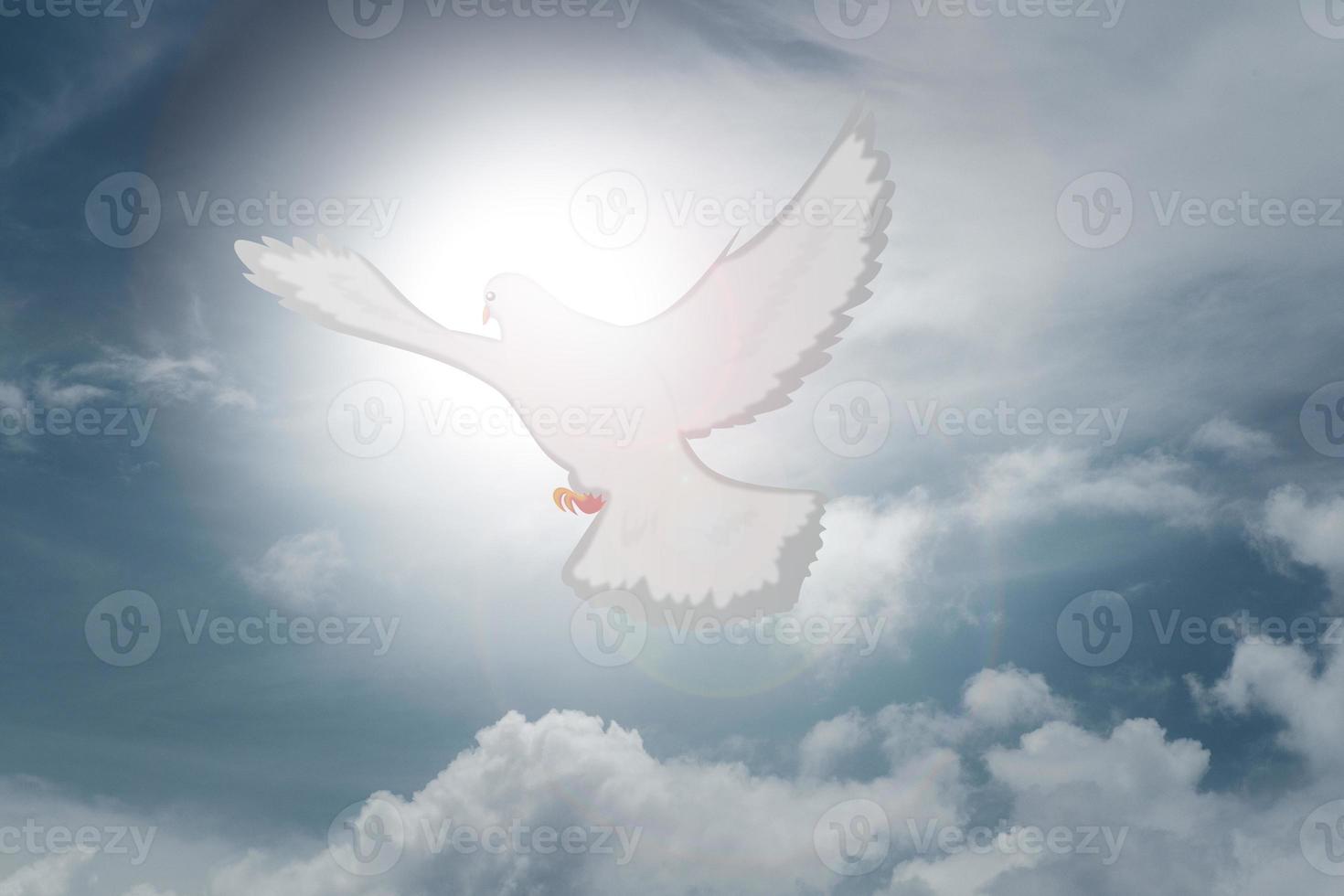 Doves fly in the sky. Christians have faith in Holy Spirit. silhouette worship to god with love Faith, Spirit and jesus christ. Christian praying for peace. Concept of worship in Christianity. photo