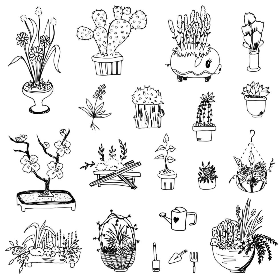 flores y plantas en doodle de maceta vector