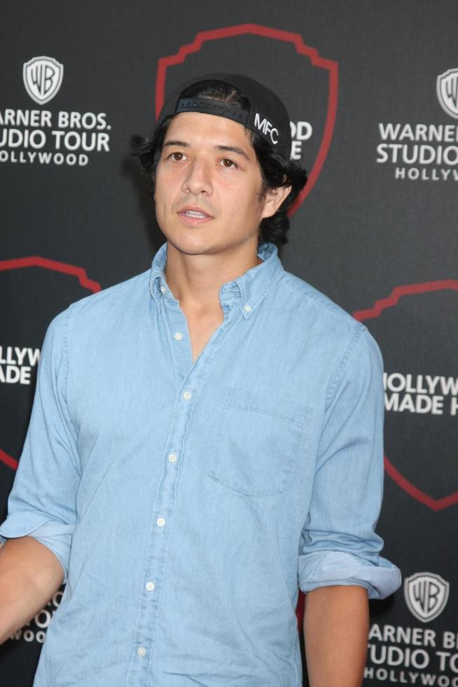 LOS ANGELES, JUL 14 - Jon Foo at the Warner Bros Studio Tour Hollywood Expansion Official Unveiling, Stage 48 - Script To Screen at the Warner Brothers Studio on July 14, 2015 in Burbank, CA photo