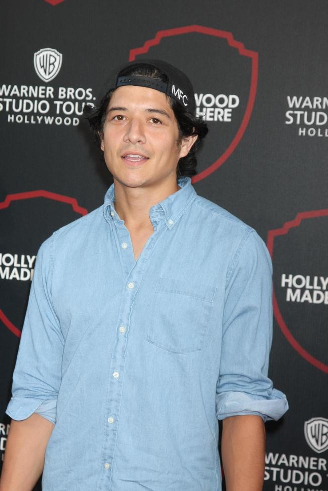 LOS ANGELES, JUL 14 - Jon Foo at the Warner Bros Studio Tour Hollywood Expansion Official Unveiling, Stage 48 - Script To Screen at the Warner Brothers Studio on July 14, 2015 in Burbank, CA photo