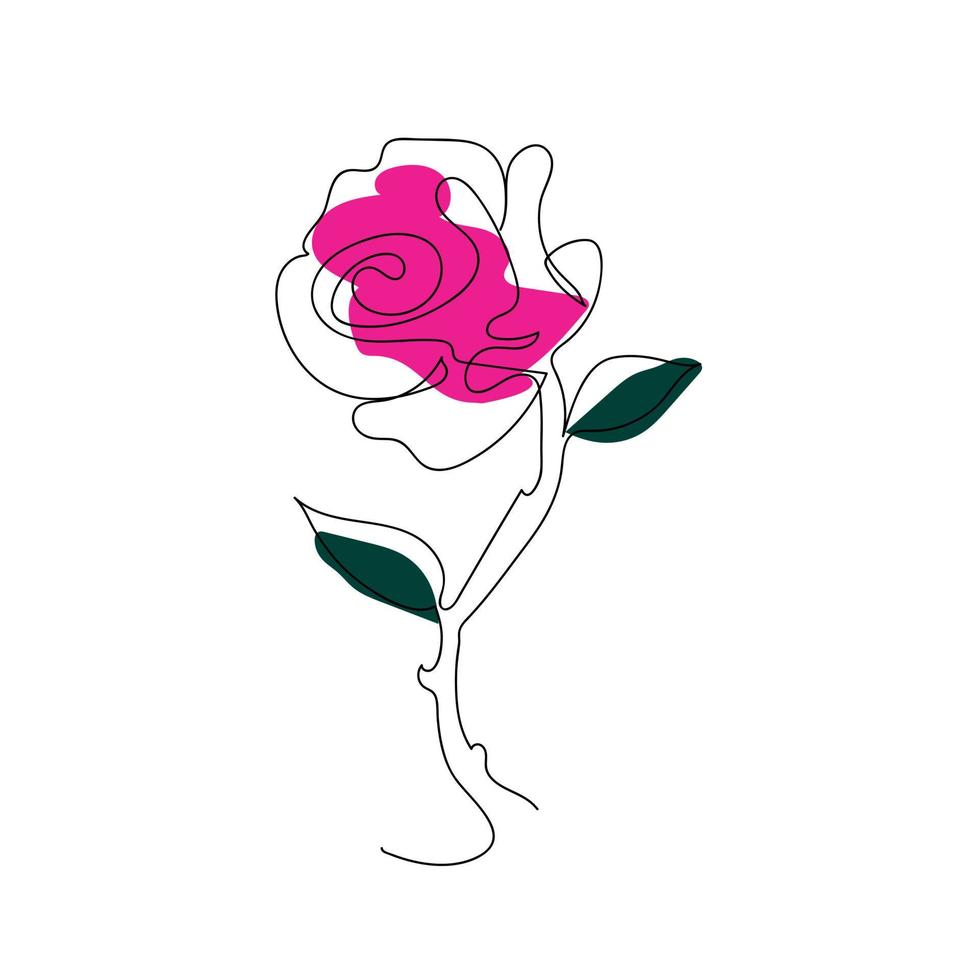 Rose Line art drawing in illustration vector