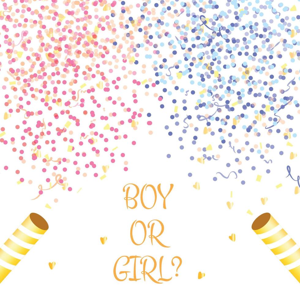 illustration for a gender party on a white background with colorful and gold confetti vector