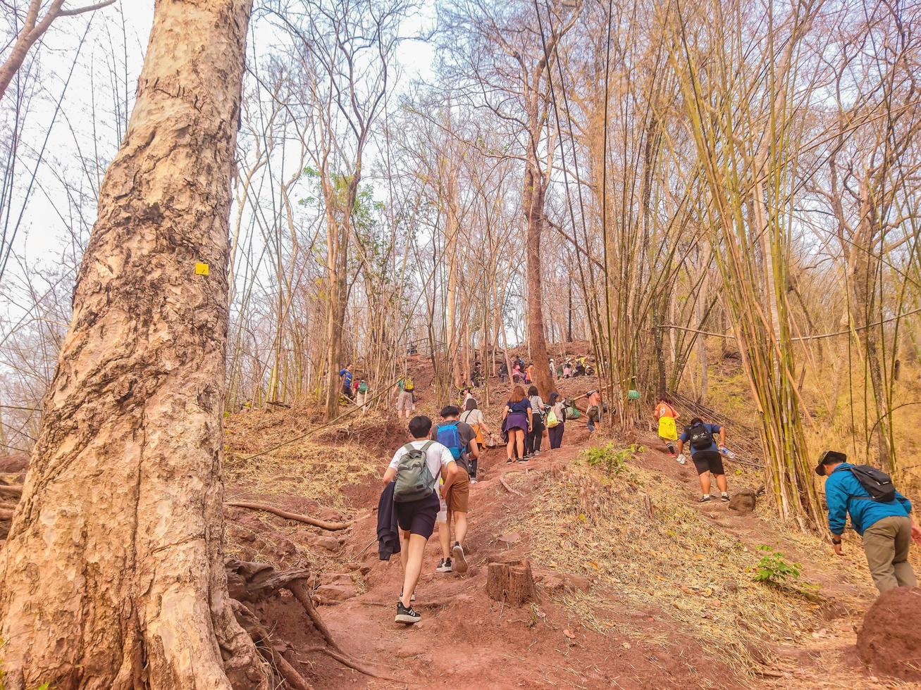 personas desconocidas que caminan hasta la cima del parque nacional de la montaña phu kradueng en la ciudad de loei, tailandia. parque nacional de la montaña phu kradueng, el famoso destino turístico de tailandia foto