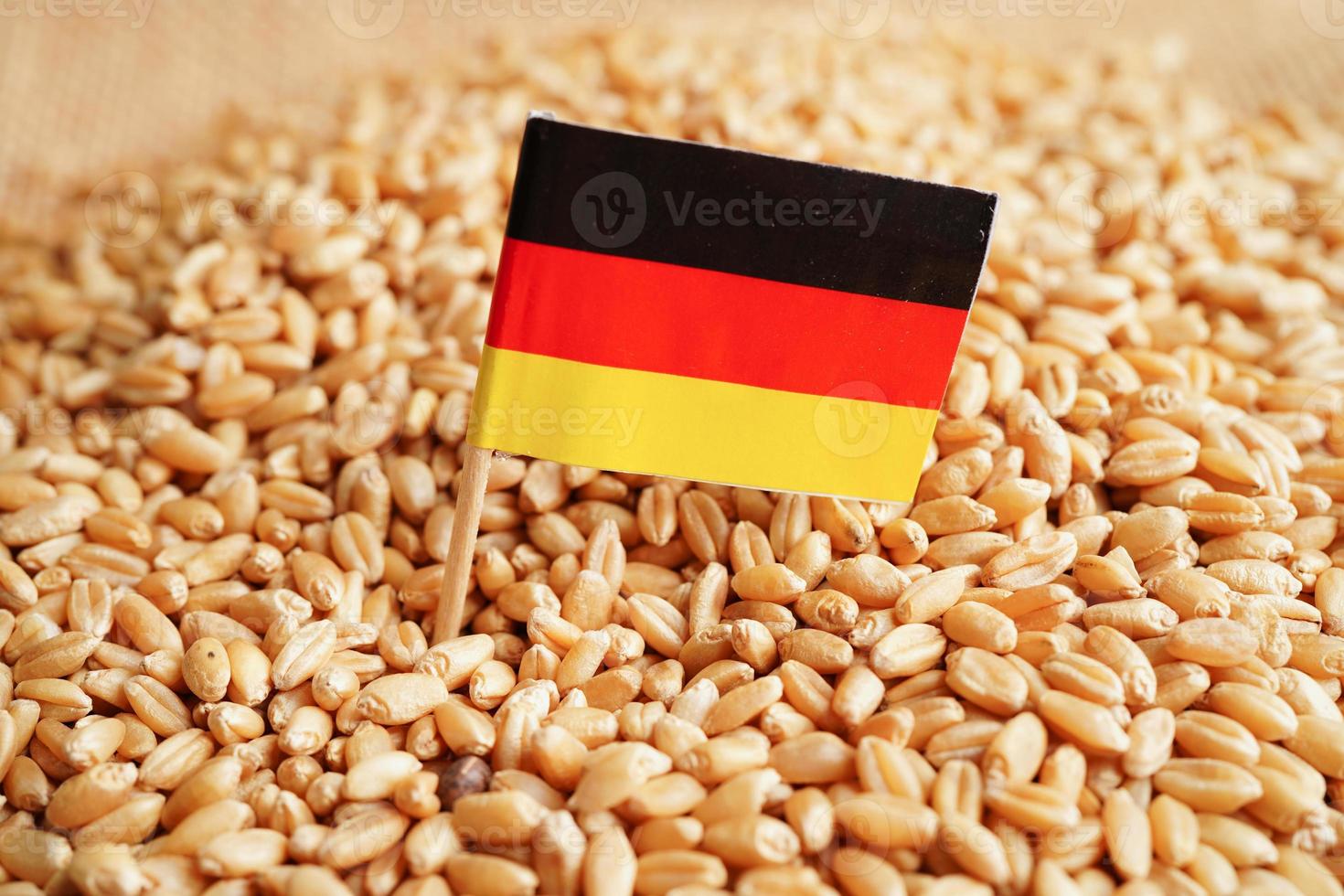 alemania sobre trigo de grano, exportación comercial y concepto económico. foto