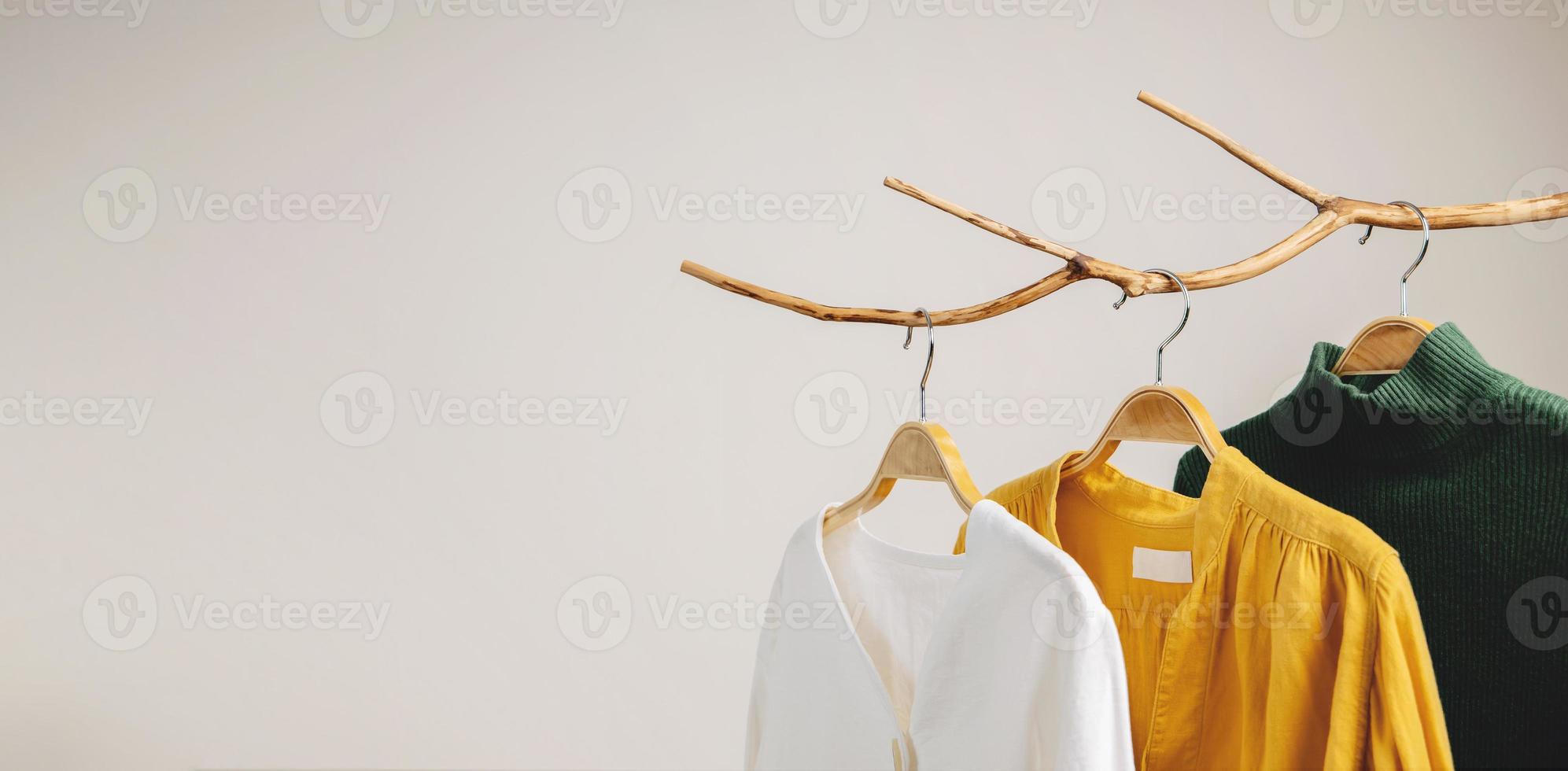 Clothes Concept. Women Wear Hanging on Dried Tree Branch. Shadow shading on the White Wall photo