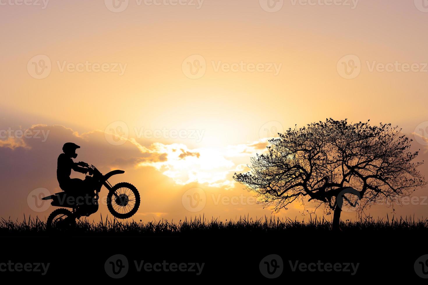 Silhouette for a beautiful evening or morning light background with copyspace for content. photo