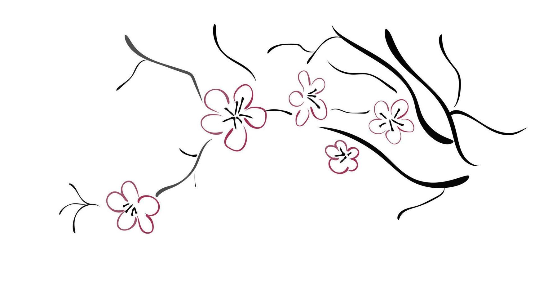 Sakura. Graphic arts vector