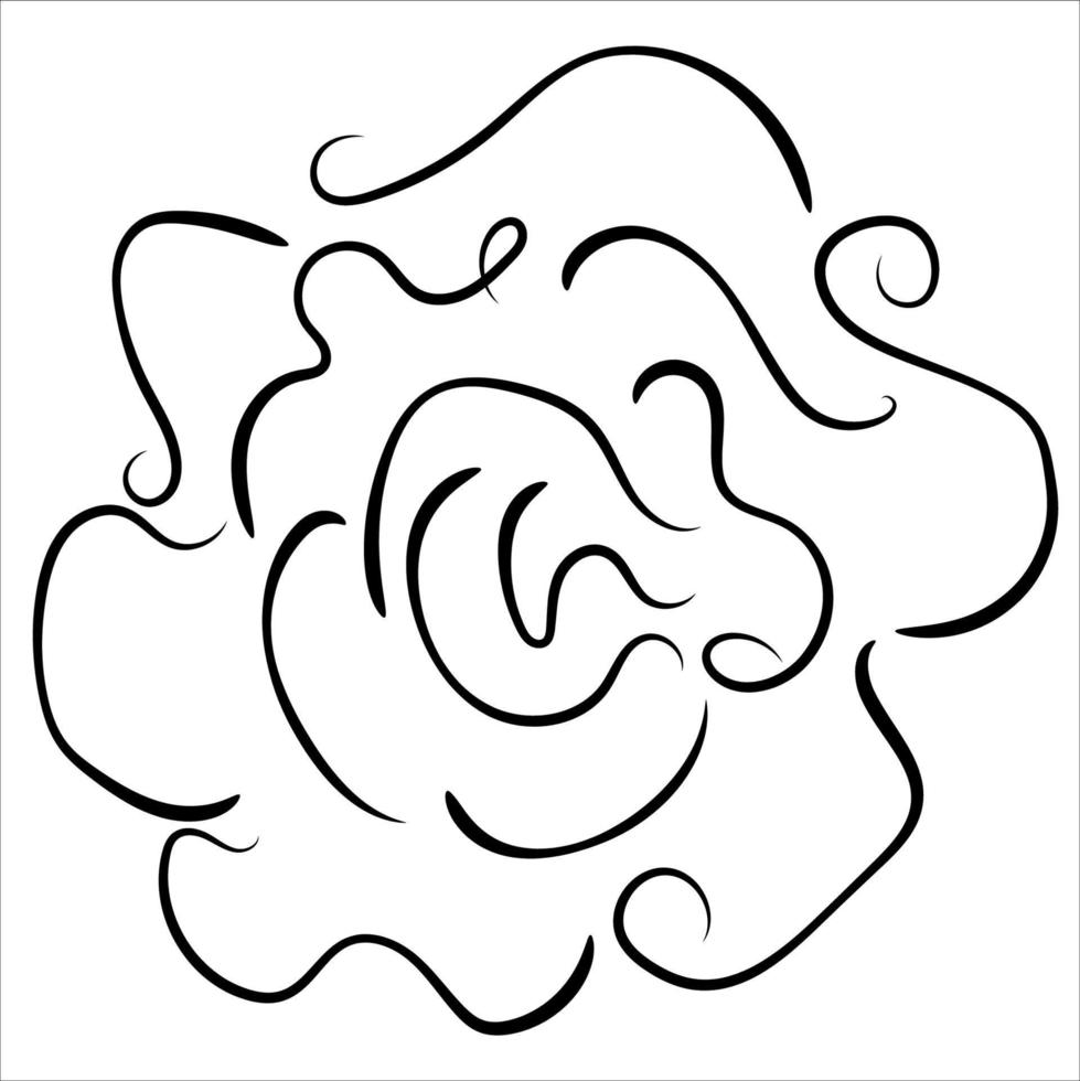 Sketch rose, hand drawn, ink style vector