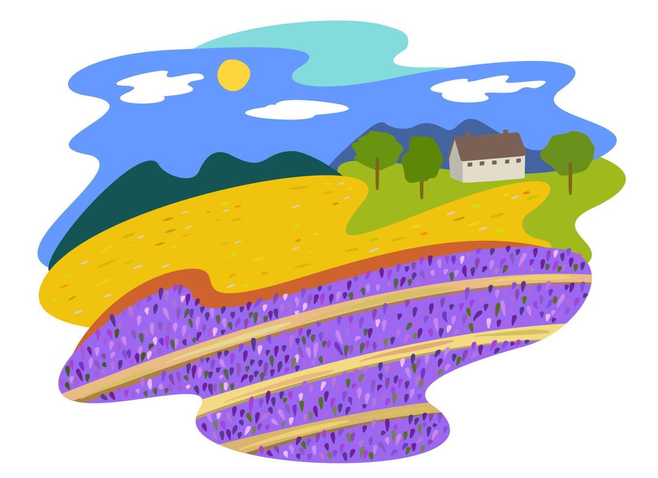 campo de lavanda paisaje brillante de verano. composición vectorial aislada. vector