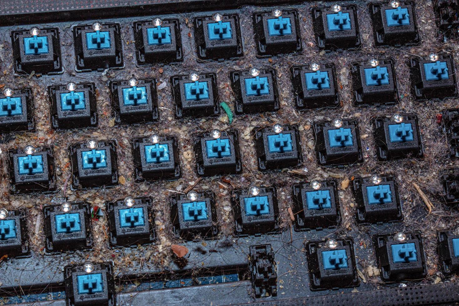 Very dirty keyboard. Dog hair, breadcrumbs and dust accumulated under the  keys. Mechanical keyboard switches without buttons 12348305 Stock Photo at  Vecteezy