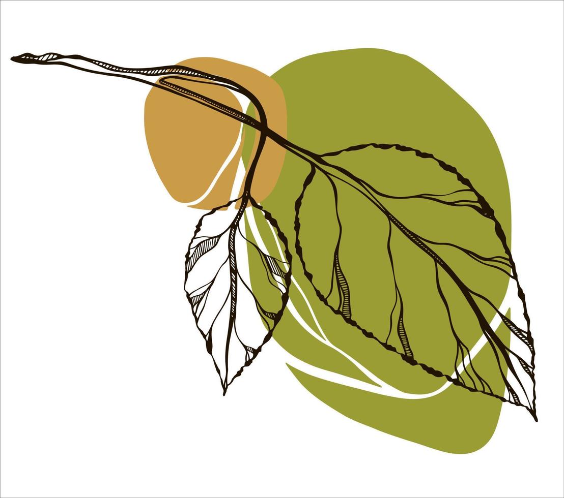 Tree branch with leaves in line art style on a gloomy background. Vector hand-drawn illustration. Isolated elements on a white background.